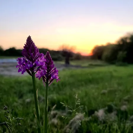 Vendégház La Premiere Vigne