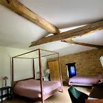 La Premiere Vigne Puycelci