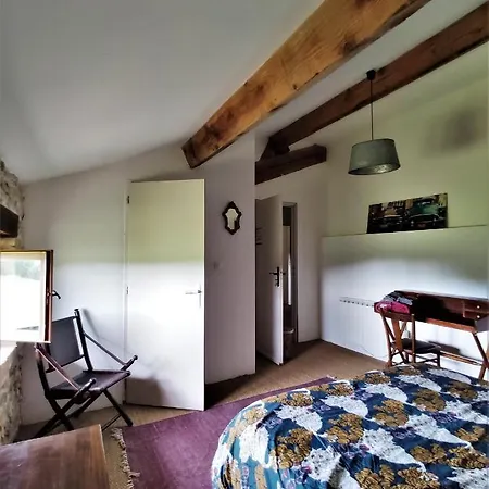 La Premiere Vigne Puycelci