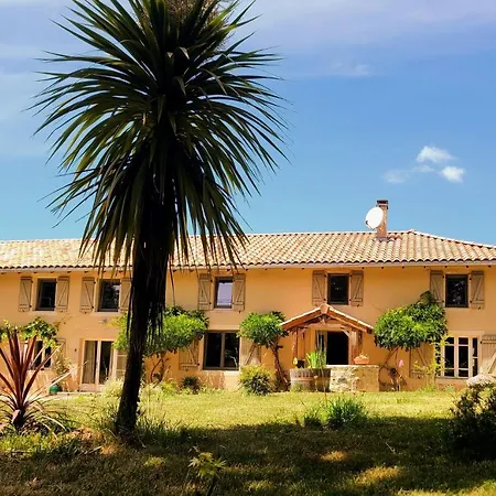 La Première Vigne