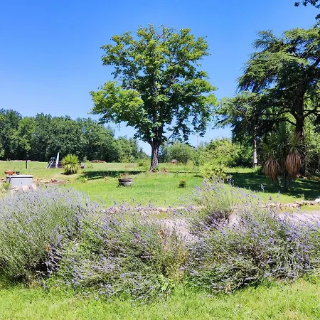 La Premiere Vigne Puycelci